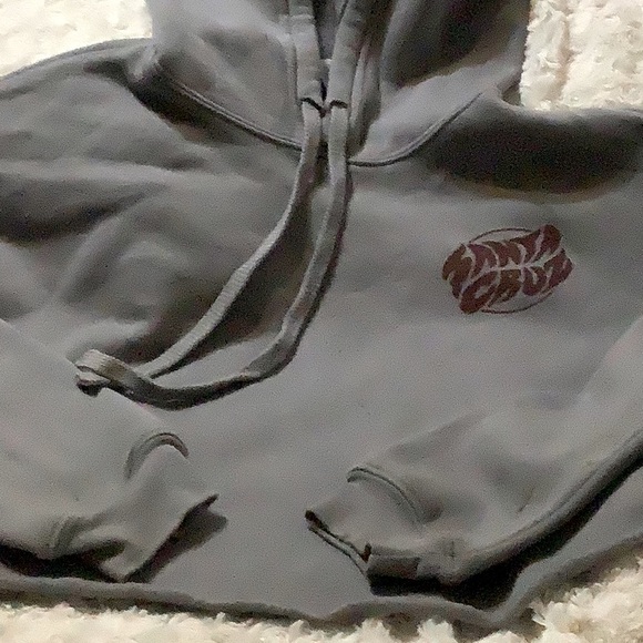 Santa Cruz cropped hoodie - Picture 2 of 6